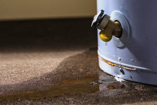 Best Fire Damage Restoration  in Middleburg Heights, OH