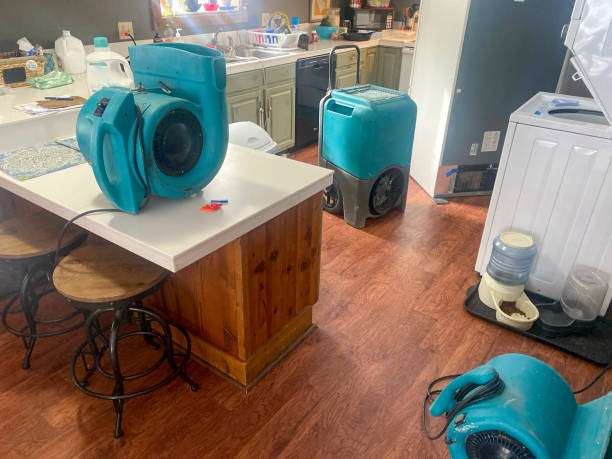 Best Water damage restoration insurance claims  in Middleburg Heights, OH