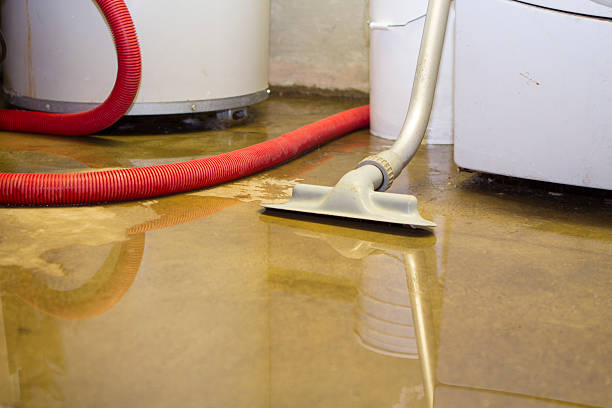 Best Water damage repair service  in Middleburg Heights, OH