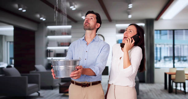 Best Carpet water damage restoration  in Middleburg Heights, OH