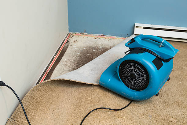 Best Flood damage cleanup  in Middleburg Heights, OH